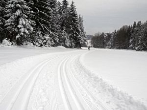 Optimale Bedingungen für Langlauf, Rodel und Ski