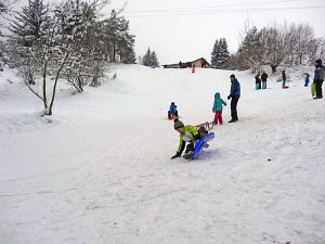 Optimale Bedingungen für Langlauf, Rodel und Ski Optimale Bedingungen für Langlauf, Rodel und Ski