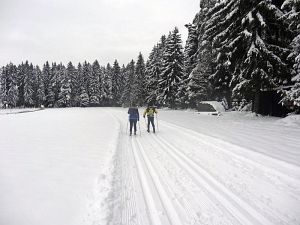 Optimale Bedingungen für Langlauf, Rodel und Ski