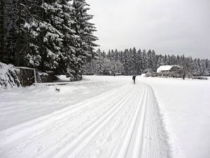 Optimale Bedingungen für Langlauf, Rodel und Ski