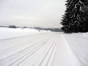 Optimale Bedingungen für Langlauf, Rodel und Ski