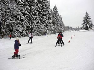 Optimale Bedingungen für Langlauf, Rodel und Ski