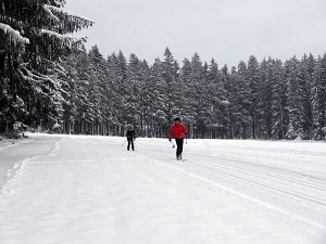 Optimale Bedingungen für Langlauf, Rodel und Ski