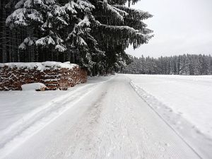 Optimale Bedingungen für Langlauf, Rodel und Ski
