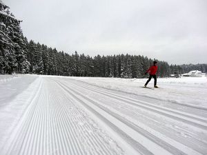 Optimale Bedingungen für Langlauf, Rodel und Ski