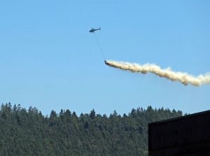 Waldkalkung in Tennenbronn