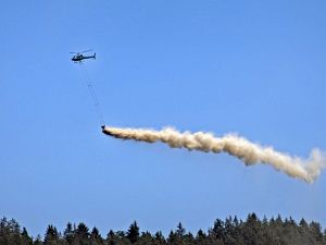 Waldkalkung in Tennenbronn