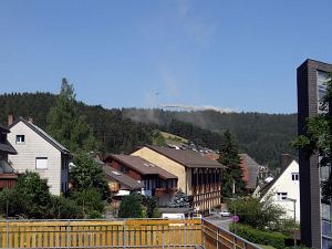 Waldkalkung in Tennenbronn