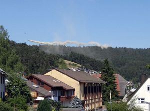 Waldkalkung in Tennenbronn