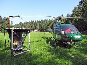Waldkalkung in Tennenbronn