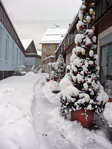 Winterliche Gre aus Tennenbronn