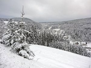 Winterliche Gre aus Tennenbronn