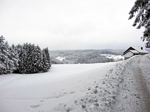 Winterliche Gre aus Tennenbronn