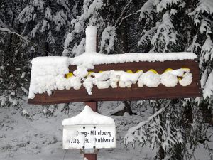 Winterliche Gre aus Tennenbronn