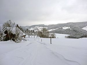 Winterliche Gre aus Tennenbronn
