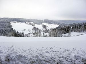 Winterliche Gre aus Tennenbronn