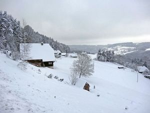 Winterliche Gre aus Tennenbronn