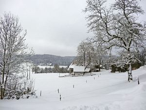 Winterliche Gre aus Tennenbronn