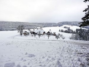 Winterliche Gre aus Tennenbronn