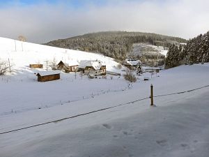Winter an Neujahr in Tennenbronn