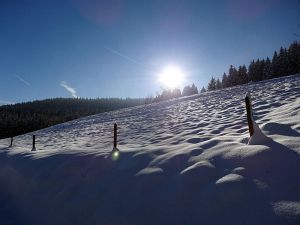 Winter an Neujahr in Tennenbronn