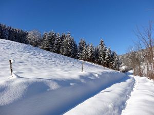 Winter an Neujahr in Tennenbronn