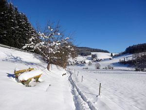 Winter an Neujahr in Tennenbronn