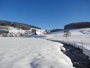 Winter an Neujahr in Tennenbronn
