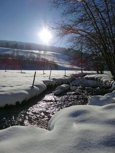 Winter an Neujahr in Tennenbronn