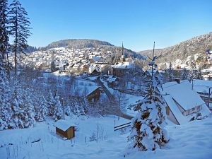Winter an Neujahr in Tennenbronn