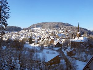 Winter an Neujahr in Tennenbronn