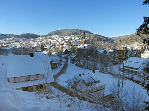 Winter an Neujahr in Tennenbronn