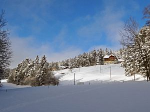 Winter an Neujahr in Tennenbronn