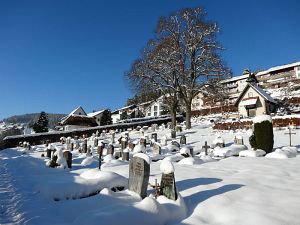 Winter an Neujahr in Tennenbronn