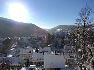Winter an Neujahr in Tennenbronn