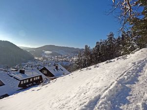 Winter an Neujahr in Tennenbronn
