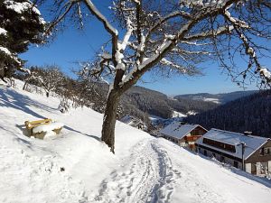 Winter an Neujahr in Tennenbronn