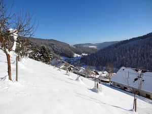 Winter an Neujahr in Tennenbronn