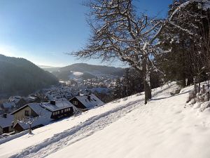 Winter an Neujahr in Tennenbronn