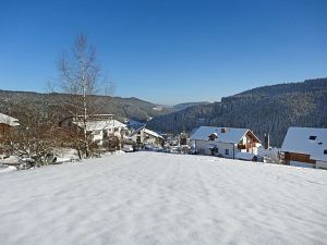 Winter an Neujahr in Tennenbronn