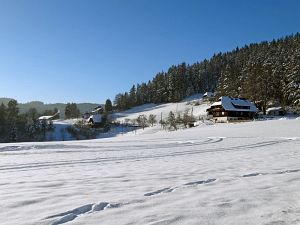 Winter an Neujahr in Tennenbronn