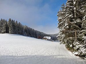 Winter an Neujahr in Tennenbronn