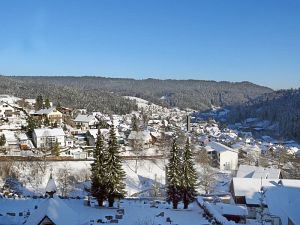 Winter an Neujahr in Tennenbronn