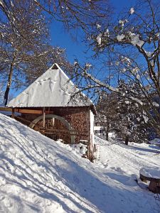 Winter an Neujahr in Tennenbronn