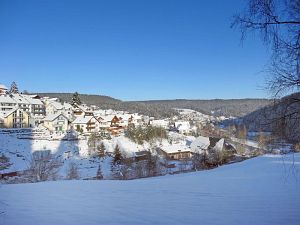 Winter an Neujahr in Tennenbronn