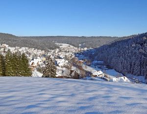 Winter an Neujahr in Tennenbronn