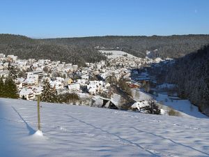 Winter an Neujahr in Tennenbronn