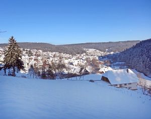 Winter an Neujahr in Tennenbronn