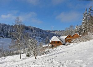 Winter an Neujahr in Tennenbronn