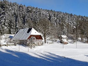 Winter an Neujahr in Tennenbronn